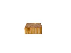 Podstavec smrkový